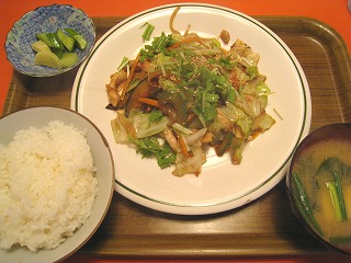 肉野菜炒めセット